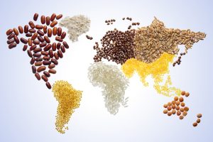 Các quốc gia cần phải làm gì để đảm bảo an ninh lương thực