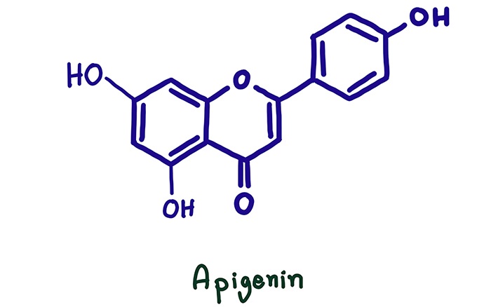 Apigenin trong cần tây giảm khả năng sinh sản ở nam giới