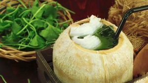 rau má nước dừa có tác dụng gì